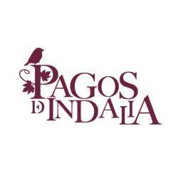 PAGOS DE INDALIA