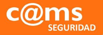 c@ms seguridad