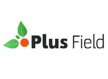 Plus Field