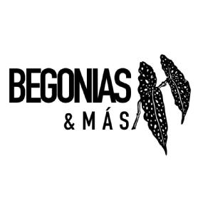 BEGONIAS&MÁS