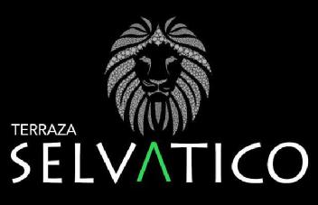 TERRAZA SELVATICO