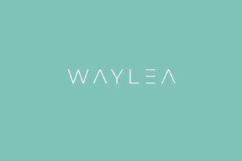 W A Y L E A