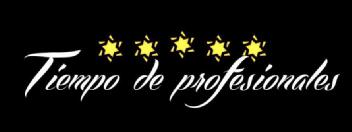 TIEMPO DE PROFESIONALES