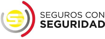 SS SEGUROS CON SEGURIDAD