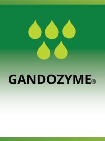 GANDOZYME