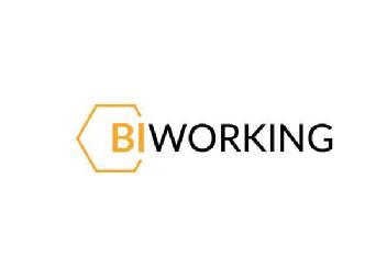 BIWORKING