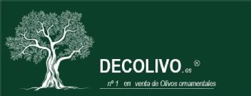 DECOLIVO.es N 1 en venta de olivos ornamentales