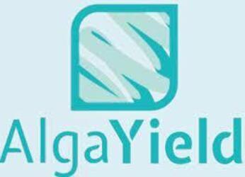 ALGAYIELD