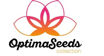 OPTIMASEEDS COLLECTION
