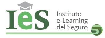 IES INSTITUTO E-LEARNING DEL SEGURO