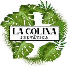 LA COLINA SELVÁTICA