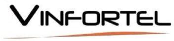 VINFORTEL
