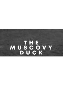 THE MUSCOVY DUCK