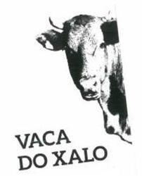 VACA DO XALO