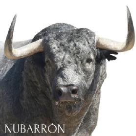 NUBARRON