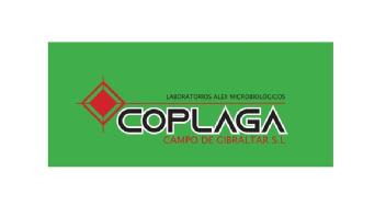 ROMBO ROJO CON DOBLE LINEA Y LINEA INFINITA HACIA ARRIBA Y ABAJO,