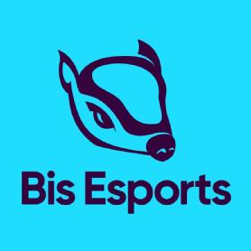 Bis Esports