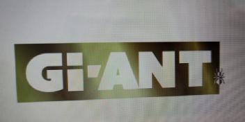 GI-ANT