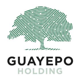 Guayepo Holding