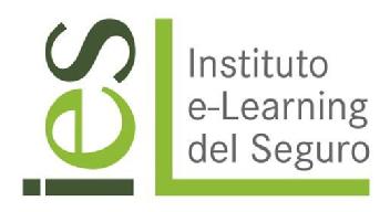 IES INSTITUTO E-LEARNING DEL SEGURO