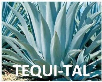 TEQUI-TAL