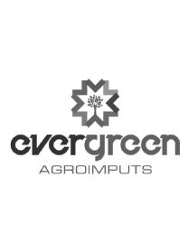 EVERGREEN AGROIMPUTS