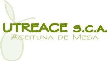 UTREACE S.C.A ACEITUNA DE MESA