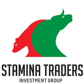 Stamina Traders Investment Group