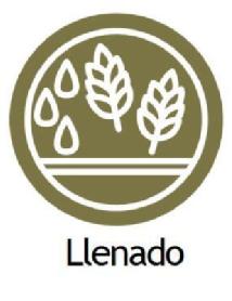 LLENADO
