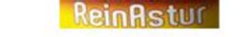 ReinAstur