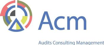 Audits Consulting Management