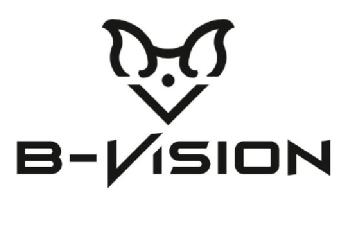 B-VISION