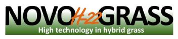 NOVOGRASS H22