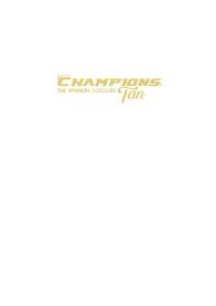 CHAMPIONSTHE WINNERS COLOURS FAN