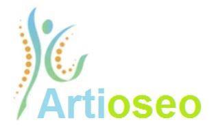 ARTIOSEO