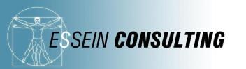 ESSEIN CONSULTING