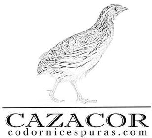 CAZACOR CODORNICESPURAS.COM