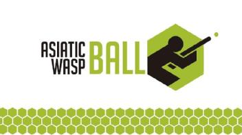 ASIATIC WASP BALL