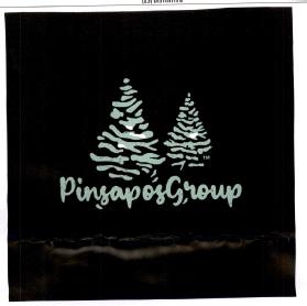 PINSAPOSGROUP