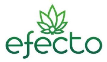 Efecto