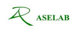 R ASELAB
