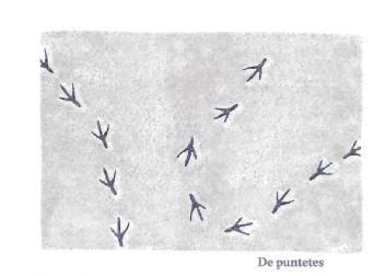 DE PUNTETES