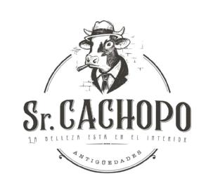 Sr. CACHOPO LA BELLEZA ESTÁ EN EL INTERIOR ANTIGÜEDADES