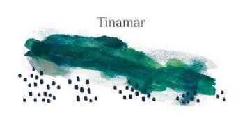 TINAMAR