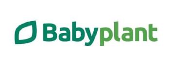 Babyplant