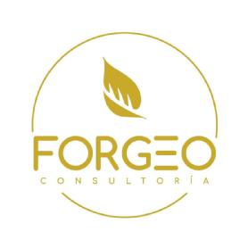 FORGEO CONSULTORÍA