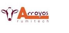 ARROYOS RUMITECH