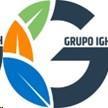 IGH GRUPO