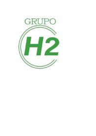 GRUPO H2