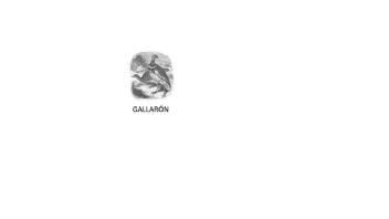 GALLARÓN